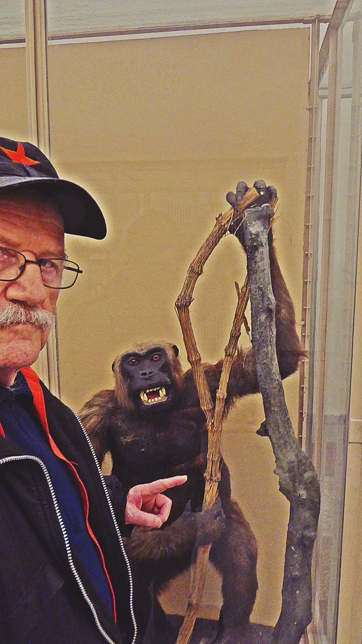 Pedro Meier – Ai Weiwei – »Selfie-Art-Project with a monkey« – »D'ailleurs c'est toujours les autres«, Musée cantonal des Beaux-Arts, Lausanne, (Uli Sigg – Bernard Fibicher), Pedro Meier Multimedia Artist Gerhard Meier Weg Niederbipp – Bangkok 2017