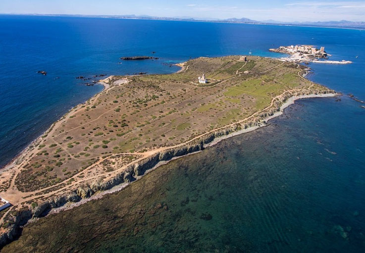 El  pequeño puerto situado en la Isla de Tabarca ofrece todas las atracciones de un enclave privilegiado, es una pequeña isla, que una vez sirvió como refugio para los piratas de Moorish y que fue convertido más adelante en una comunidad pesquera.