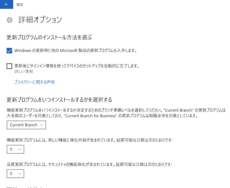 security06:更新タイミングの詳細オプション