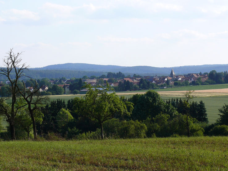 Der Linsenberg (im Vordergrund) und Kirch-Göns (im Hintergrund)