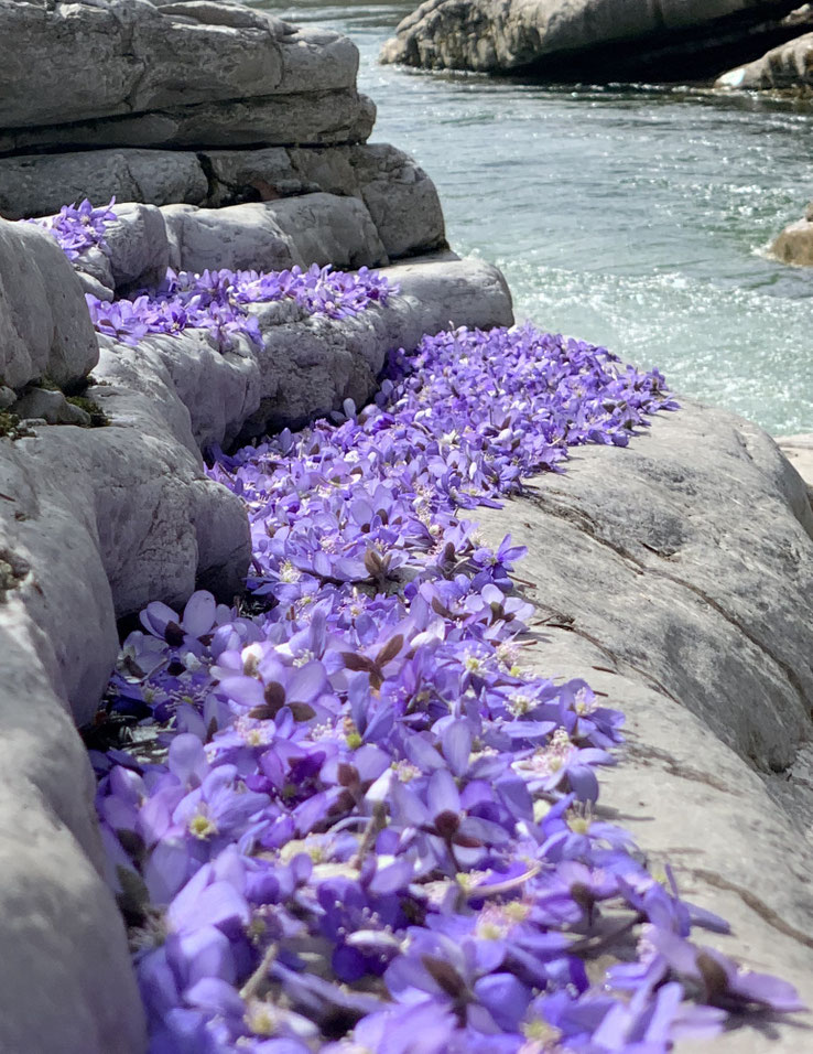  Veranstaltung, LandArt, offenes Atelier, Bilder, Kalender, Naturkunst, LandArtworkshops 