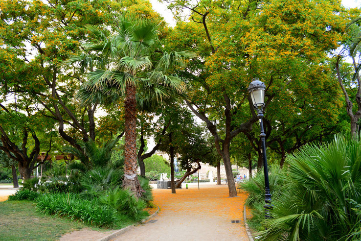 Parc de la Ciutadella