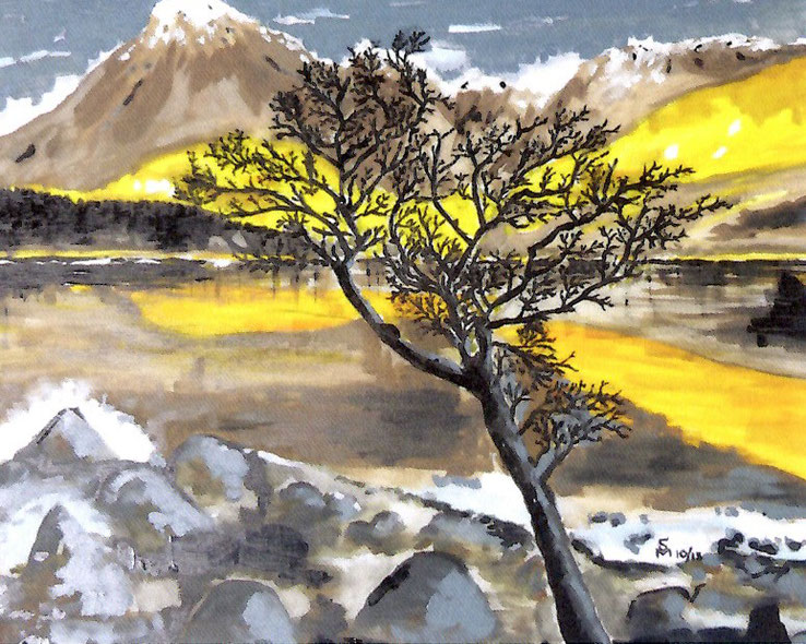 Bild: Sigrun Miller