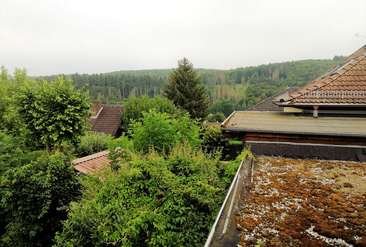 Foto: Petra Ihm-Fahle