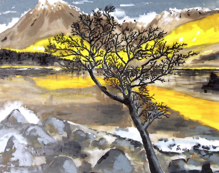 Bild: Sigrun Miller