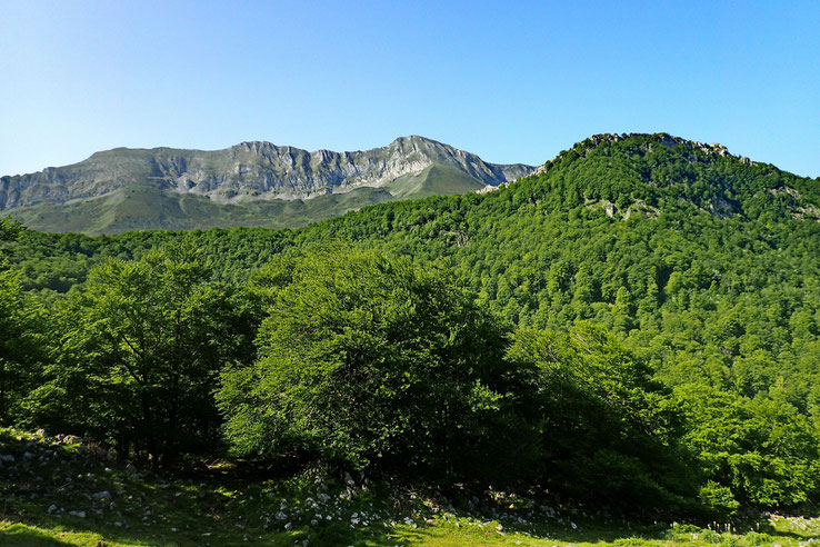 La pente est assez raide, mais me permet de découvrir rapidement le Pic du Moulle de Jaut.