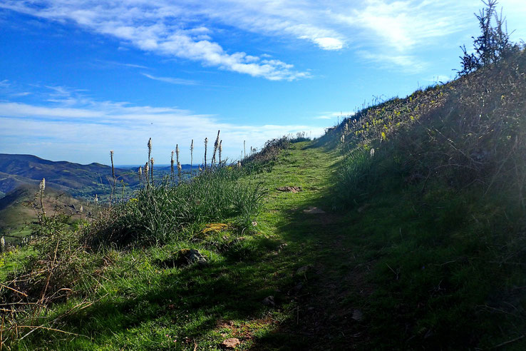 La montée en lacets.
