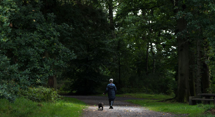 Frau mit Hund spaziert im Wald