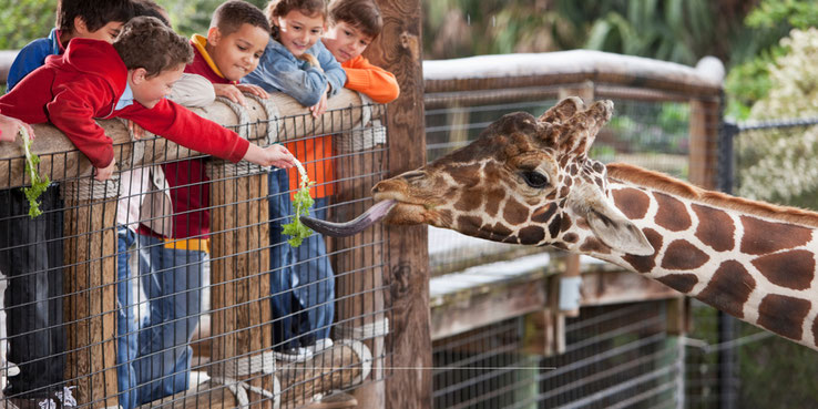 Dierentuin korting meivakantie