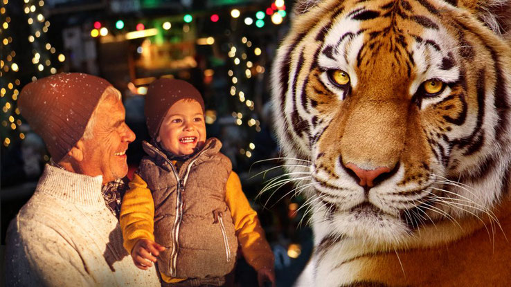 Dierenpark Amersfoort kerstvakantie