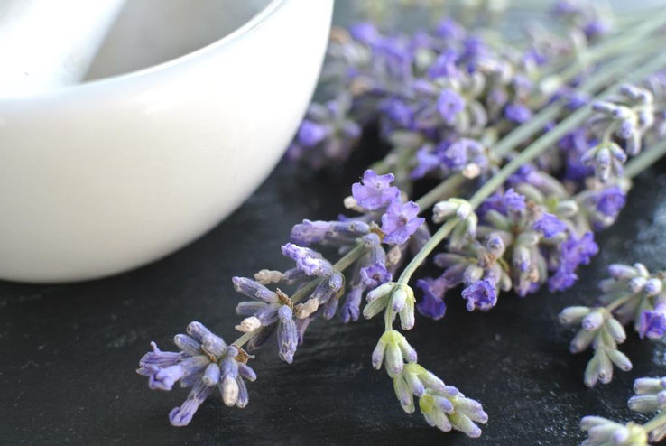 Lavendelzucker einfach selber machen (auch für Thermomix)
