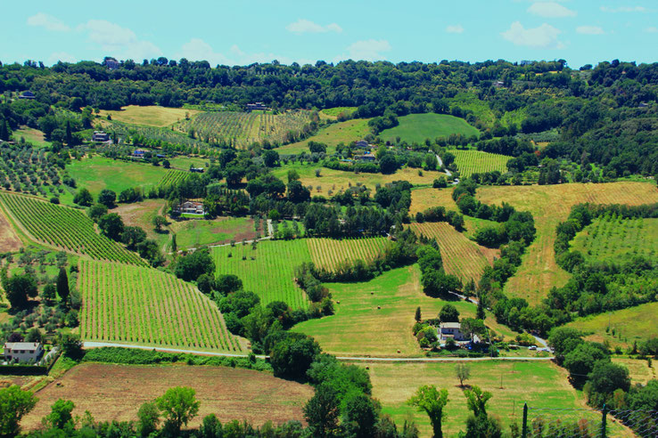 Orvieto. Itinerari di VINO. Blog Etesiaca