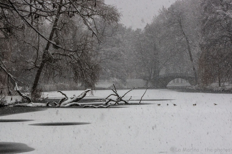 Winter im Georgengarten Hannover