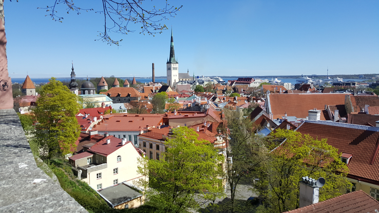 Blick auf die Altstadt von Tallinn