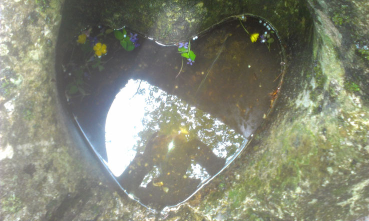 Eine Aushöhlung in einem Stein in Herzform, gefüllt mit Wasser und darinschwimmenden Blüten in Bad Reichenhall / Berchtesgadener Land - Heilpraktiker Martin Johannes Gahbauer