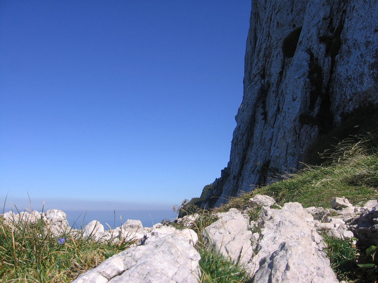 Bergpanorama über Bad Reichenhall / Berchtesgadener Land - Heilpraktiker Martin Johannes Gahbauer