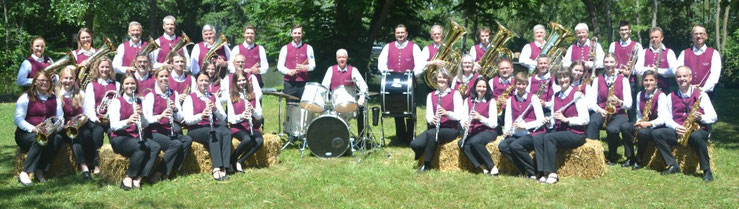 Gruppenbild Blaskapelle Meeder 2014