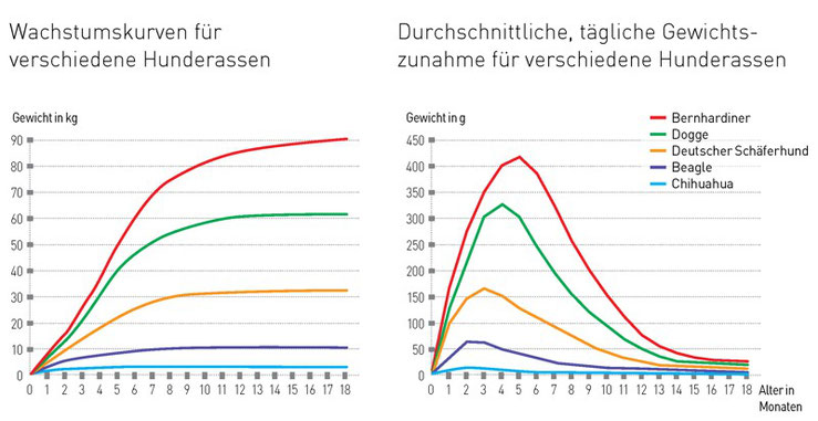 wachstum und ernahrung zoo schnacks webseite