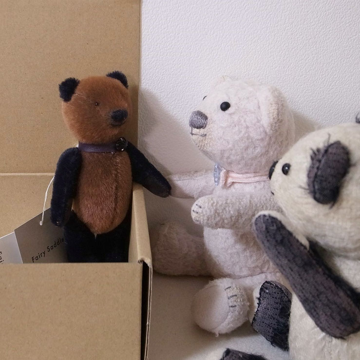 fairysaddle teddybear