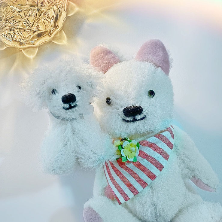 fairysaddle teddybear panchifriend