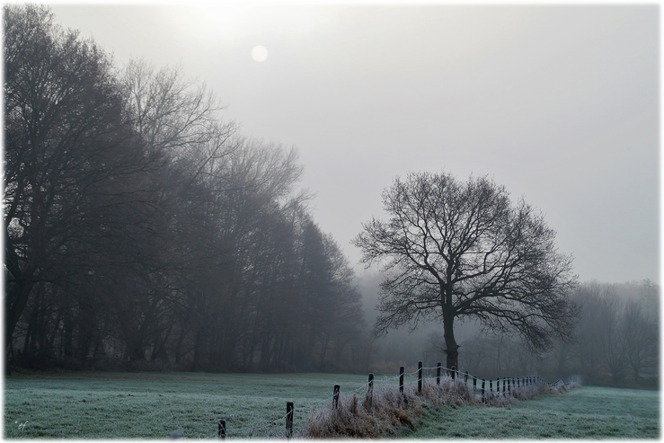 Ein eisiger Wintertag