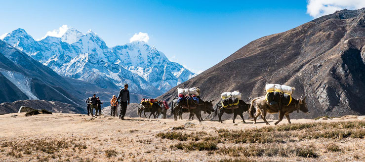 Die Hochebene oberhalb von Dingboche, war einfach traumhaft schon. Im Hintergrund zu sehen, die Ama Dablam.