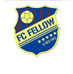 fcフェロー