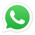 Kontakt über WhatsApp