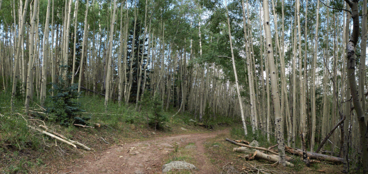 Mount Taylor, CDT, Continental Divide Trail, hike, hiking