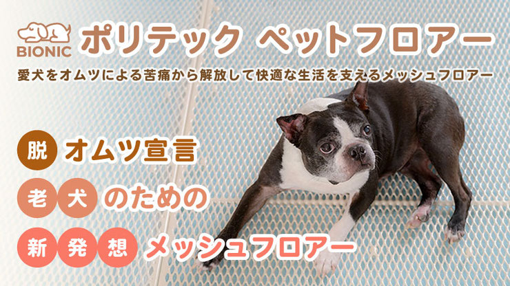 愛犬をオムツかぶれの苦痛から解放するポリテックペットフロアー
