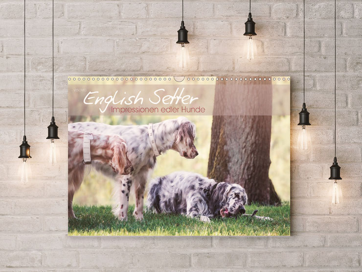 English Setter Kunstkalender von VISOVIO English Setter - Impressionen edler Hunde