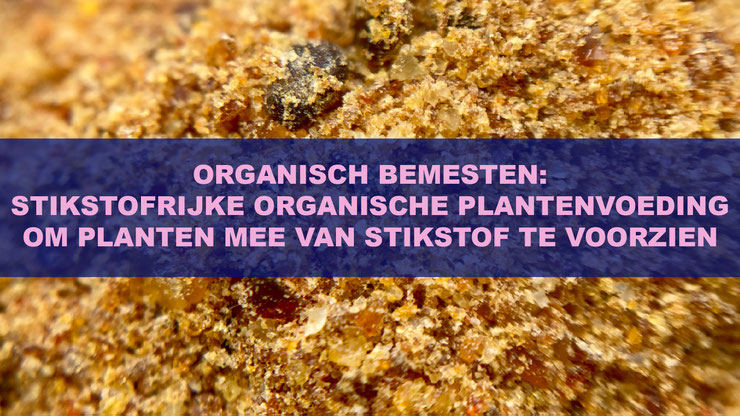 Organisch Bemesten: Stikstofrijke Organische Plantenvoeding Om Planten Mee Van Stikstof Te Voorzien