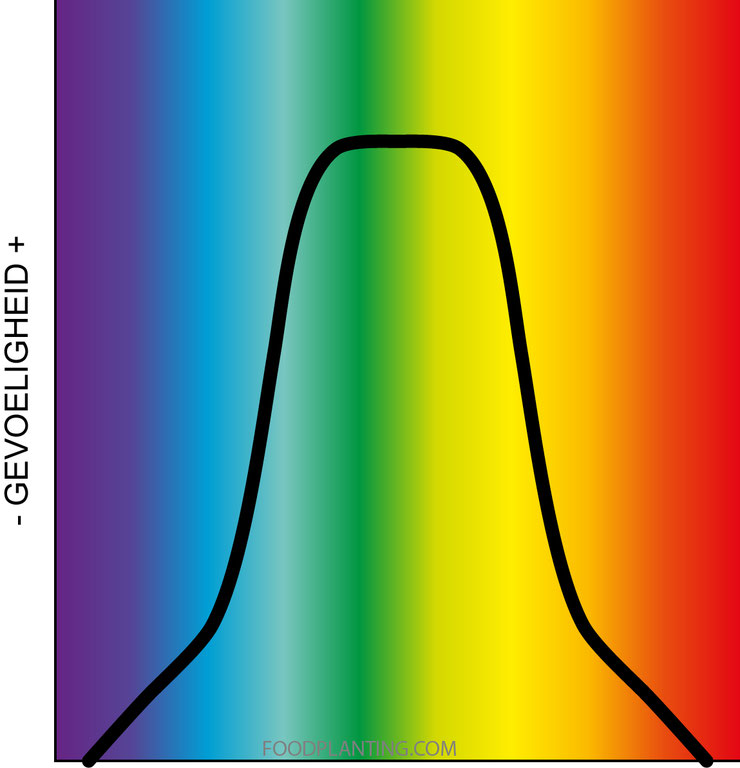 menselijk oog, visueel spectrum