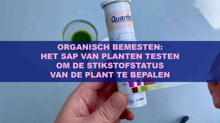 Organisch Bemesten: Het Sap Van Planten Testen Om De Stikstofstatus Van De Plant Te Bepalen