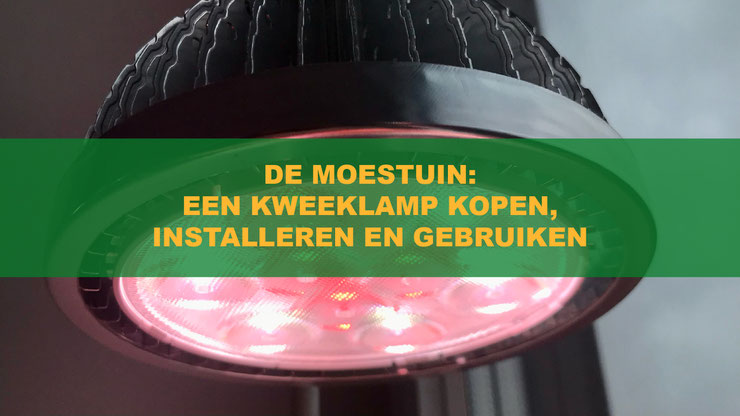 Licht en planten: Een kweeklamp kiezen en installeren