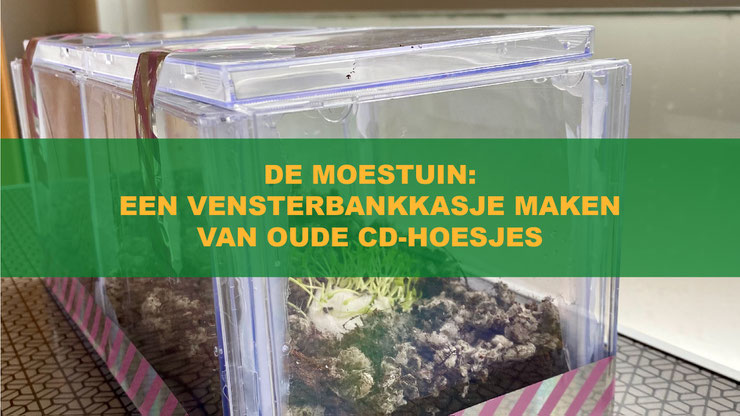 Uiteraard kun je een vensterbankkas kopen, maar je kunt deze eventueel ook zelf maken van oude CD-hoesjes. Aangezien vensterbankkassen nogal duur kunnen zijn, is dit zeker aan te raden als je de vensterbank kas alleen als prototype gebruik voor een groter