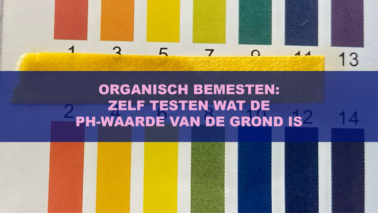 ORGANISCH BEMESTEN: ZELF TESTEN WAT DE PH-WAARDE VAN DE GROND IS