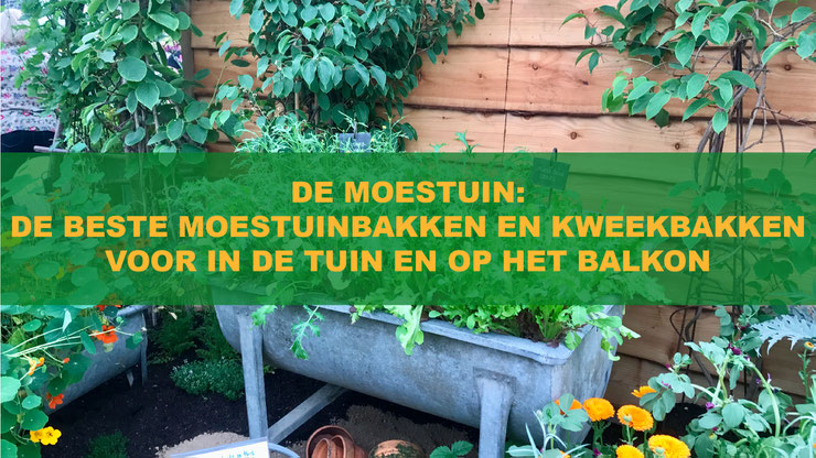 DE MOESTUIN: DE BESTE MOESTUINBAKKEN EN KWEEKBAKKEN VOOR IN DE TUIN EN OP HET BALKON