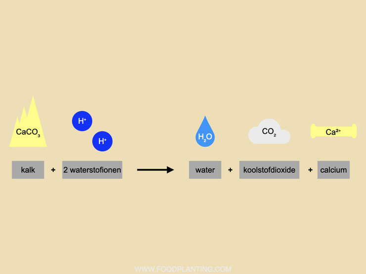 calciumcarbonaat reactie