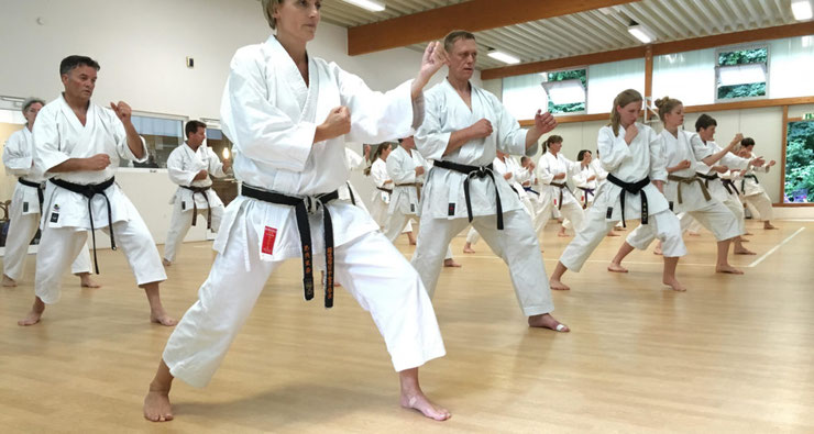 Karatekämpfer trainieren Karate während eines Seminars im Karate-Dojo Münster.