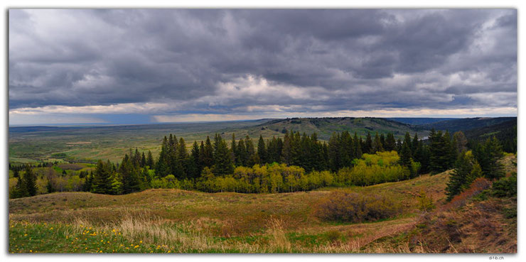 Panorama Ansicht von Cypress Hills in Alberta, Kanada.