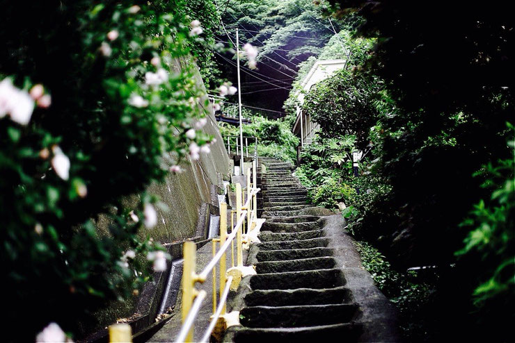 日本の風景