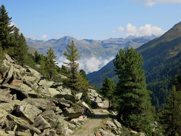 Gößnitztal - Blick Richtung Norden