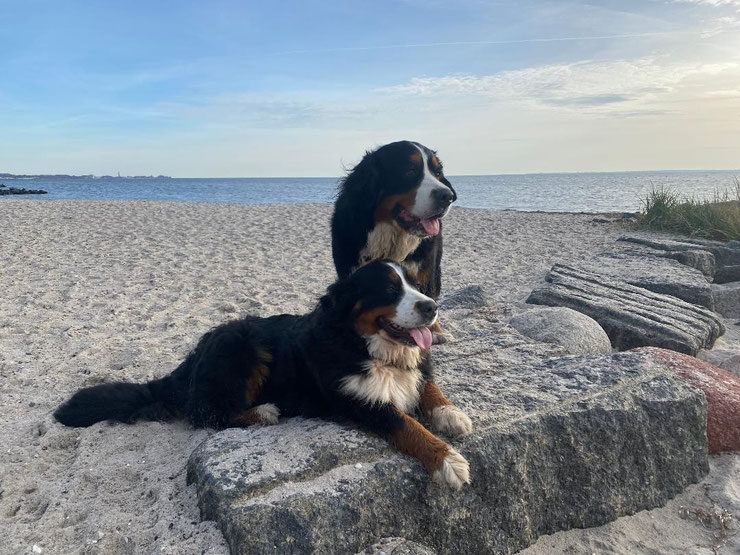 Nach dem Sturmtief lieber an die Ostsee! Mitte November bei 18 Grad.