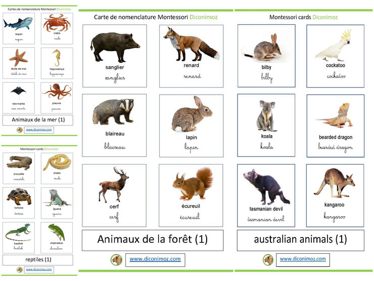 carte de nomenclature montessori pour l'apprentissage de l'écriture et de la lecture à l'école maternelle et primaire en français et en anglais