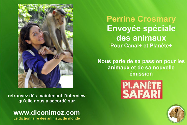 interview perrine crosmary canal + planete + safari 