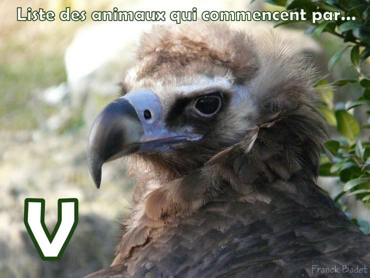 8 lettre commencant par r finissant par n
