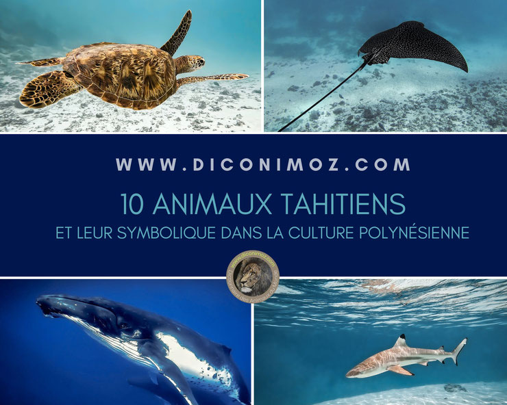 10 animaux tahitiens et leur symbolique dans la culture polynésienne