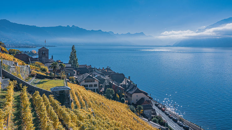 Lac Léman depuis Lavaux alpes suisses