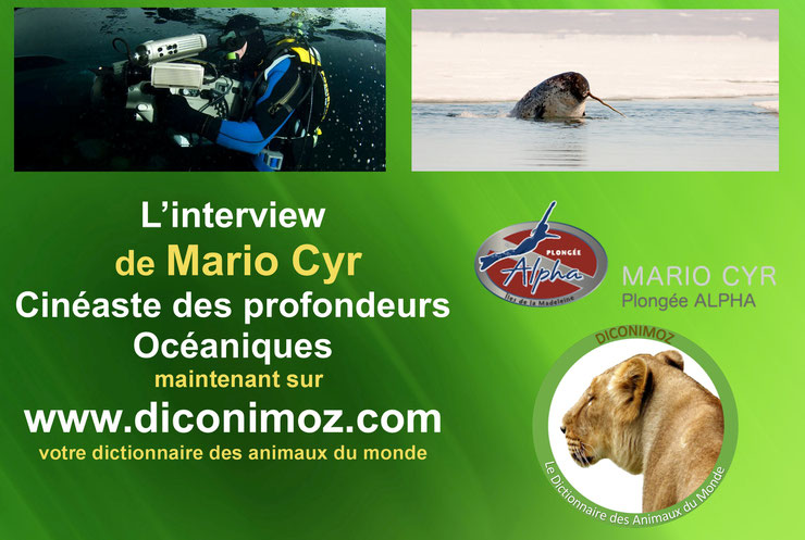 interview de Mario Cyr cineaste des profondeurs oceaniques photographe de l'extreme